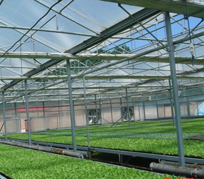 陽(yáng)光板溫室