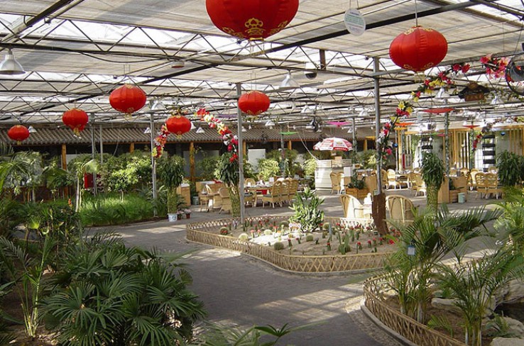 生態餐廳